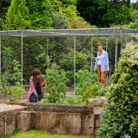 Odlingsbur 6x5 m, alu